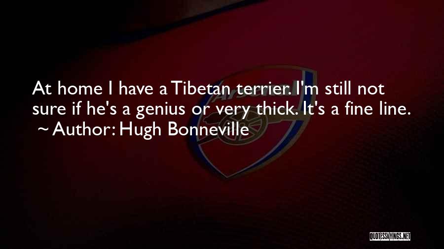 Hugh Bonneville Quotes: At Home I Have A Tibetan Terrier. I'm Still Not Sure If He's A Genius Or Very Thick. It's A