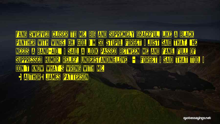 James Patterson Quotes: Fang Swerved Closer To Me, Big And Supremely Graceful, Like A Black Panther With Wings. Oh, God. I'm So Stupid.