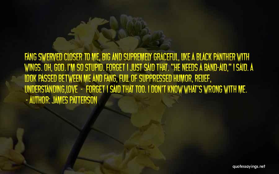 James Patterson Quotes: Fang Swerved Closer To Me, Big And Supremely Graceful, Like A Black Panther With Wings. Oh, God. I'm So Stupid.