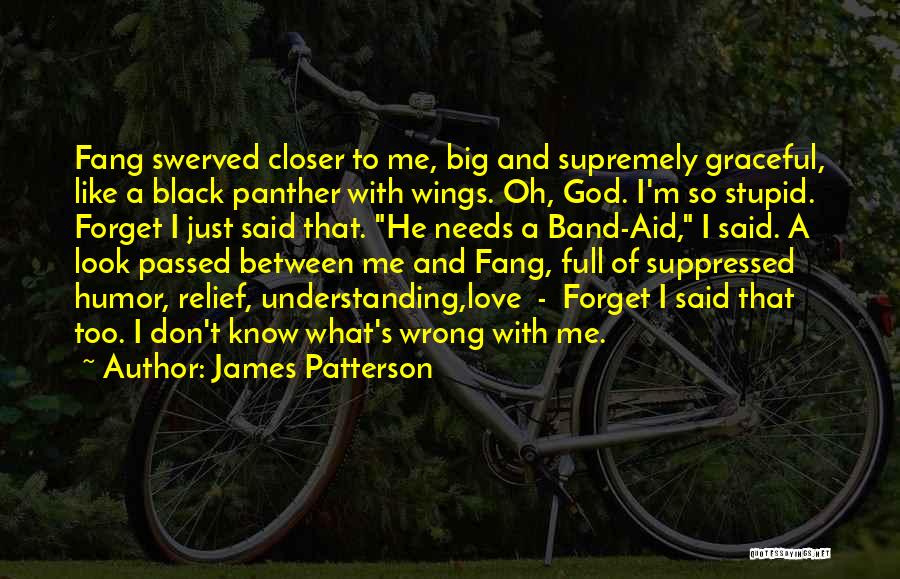 James Patterson Quotes: Fang Swerved Closer To Me, Big And Supremely Graceful, Like A Black Panther With Wings. Oh, God. I'm So Stupid.