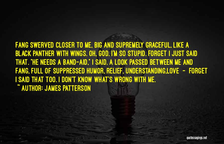 James Patterson Quotes: Fang Swerved Closer To Me, Big And Supremely Graceful, Like A Black Panther With Wings. Oh, God. I'm So Stupid.