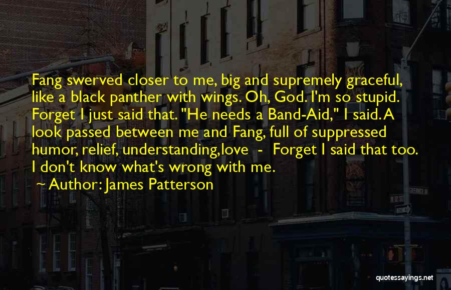 James Patterson Quotes: Fang Swerved Closer To Me, Big And Supremely Graceful, Like A Black Panther With Wings. Oh, God. I'm So Stupid.