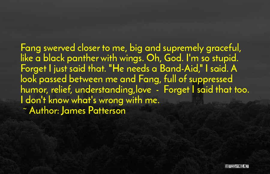 James Patterson Quotes: Fang Swerved Closer To Me, Big And Supremely Graceful, Like A Black Panther With Wings. Oh, God. I'm So Stupid.