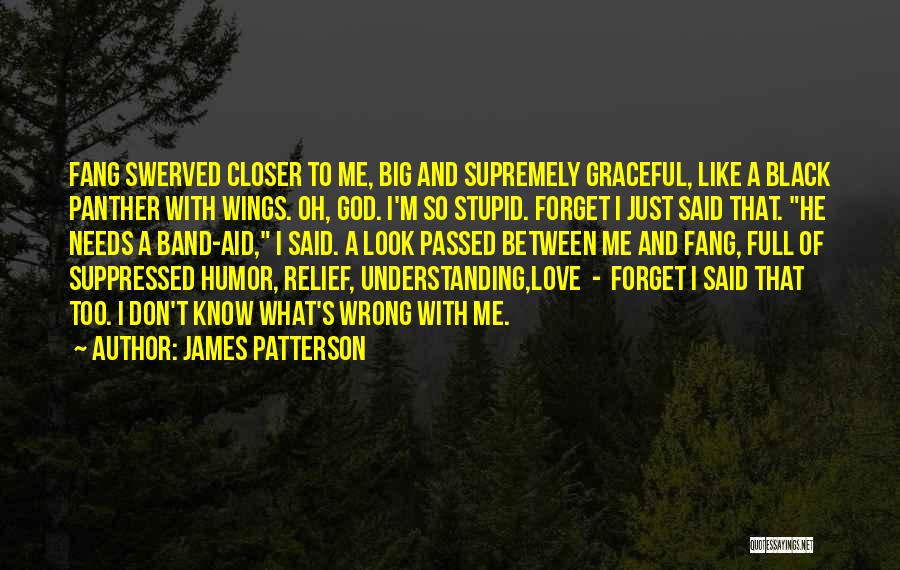 James Patterson Quotes: Fang Swerved Closer To Me, Big And Supremely Graceful, Like A Black Panther With Wings. Oh, God. I'm So Stupid.