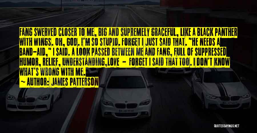 James Patterson Quotes: Fang Swerved Closer To Me, Big And Supremely Graceful, Like A Black Panther With Wings. Oh, God. I'm So Stupid.