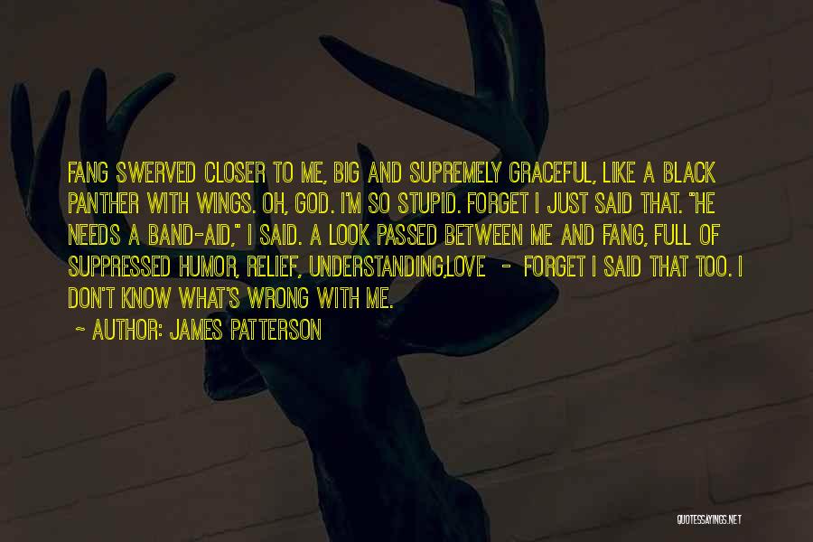 James Patterson Quotes: Fang Swerved Closer To Me, Big And Supremely Graceful, Like A Black Panther With Wings. Oh, God. I'm So Stupid.