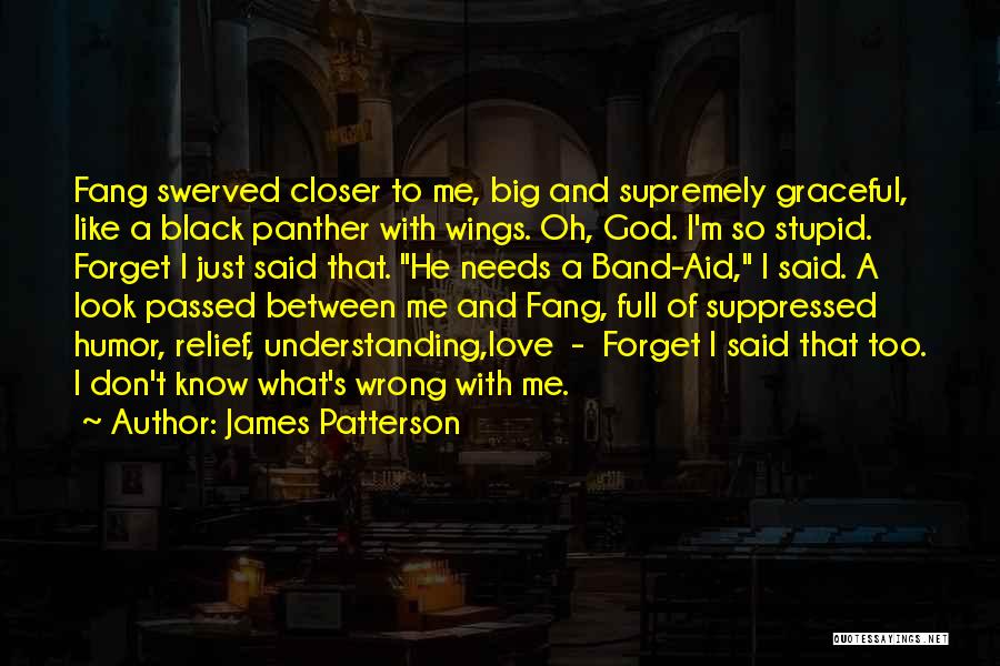 James Patterson Quotes: Fang Swerved Closer To Me, Big And Supremely Graceful, Like A Black Panther With Wings. Oh, God. I'm So Stupid.