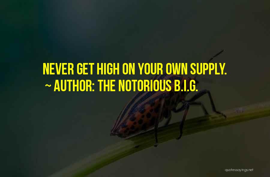 The Notorious B.I.G. Quotes: Never Get High On Your Own Supply.