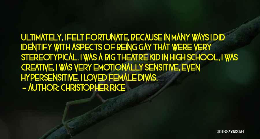 Christopher Rice Quotes: Ultimately, I Felt Fortunate, Because In Many Ways I Did Identify With Aspects Of Being Gay That Were Very Stereotypical.