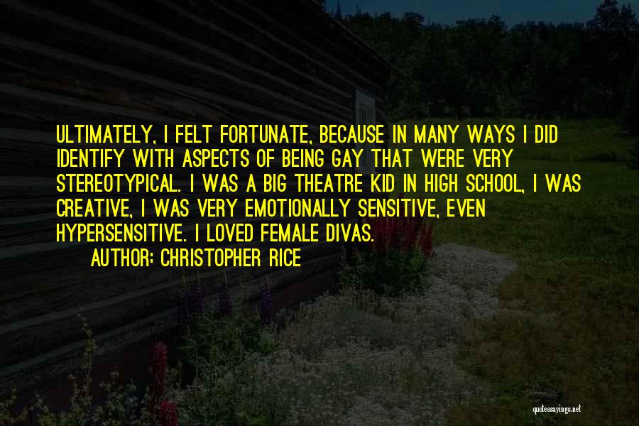 Christopher Rice Quotes: Ultimately, I Felt Fortunate, Because In Many Ways I Did Identify With Aspects Of Being Gay That Were Very Stereotypical.