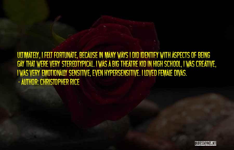 Christopher Rice Quotes: Ultimately, I Felt Fortunate, Because In Many Ways I Did Identify With Aspects Of Being Gay That Were Very Stereotypical.