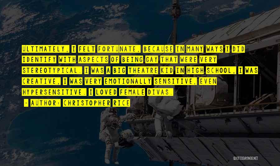 Christopher Rice Quotes: Ultimately, I Felt Fortunate, Because In Many Ways I Did Identify With Aspects Of Being Gay That Were Very Stereotypical.