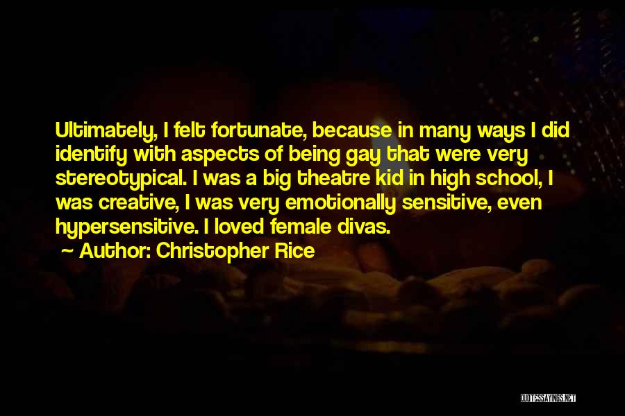 Christopher Rice Quotes: Ultimately, I Felt Fortunate, Because In Many Ways I Did Identify With Aspects Of Being Gay That Were Very Stereotypical.