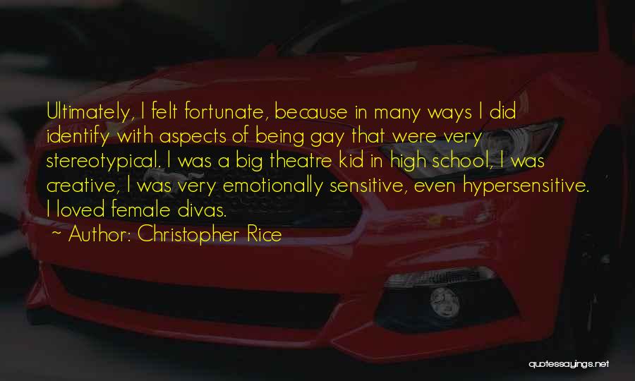 Christopher Rice Quotes: Ultimately, I Felt Fortunate, Because In Many Ways I Did Identify With Aspects Of Being Gay That Were Very Stereotypical.