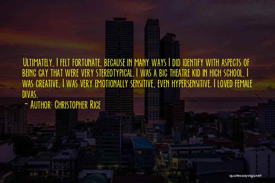 Christopher Rice Quotes: Ultimately, I Felt Fortunate, Because In Many Ways I Did Identify With Aspects Of Being Gay That Were Very Stereotypical.