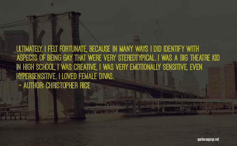 Christopher Rice Quotes: Ultimately, I Felt Fortunate, Because In Many Ways I Did Identify With Aspects Of Being Gay That Were Very Stereotypical.