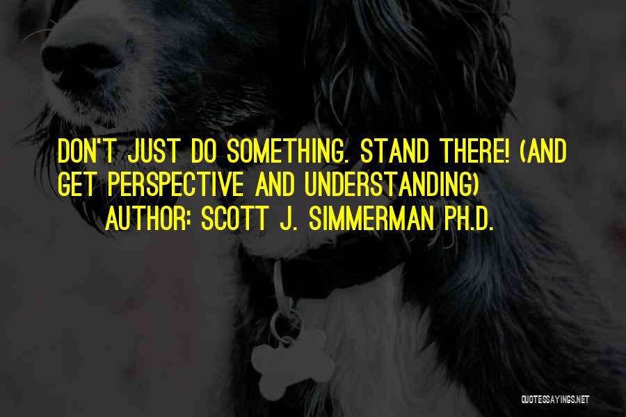 Scott J. Simmerman Ph.D. Quotes: Don't Just Do Something. Stand There! (and Get Perspective And Understanding)