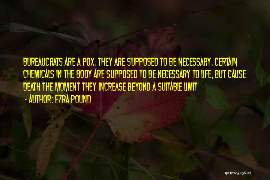 Ezra Pound Quotes: Bureaucrats Are A Pox. They Are Supposed To Be Necessary. Certain Chemicals In The Body Are Supposed To Be Necessary