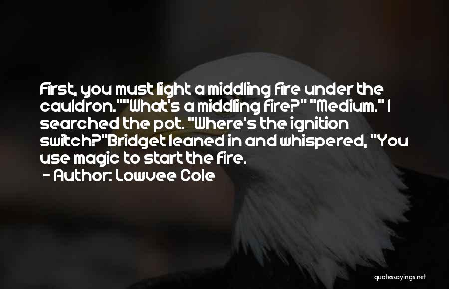 Lowvee Cole Quotes: First, You Must Light A Middling Fire Under The Cauldron.what's A Middling Fire? Medium. I Searched The Pot. Where's The