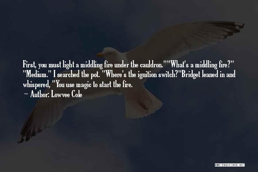 Lowvee Cole Quotes: First, You Must Light A Middling Fire Under The Cauldron.what's A Middling Fire? Medium. I Searched The Pot. Where's The