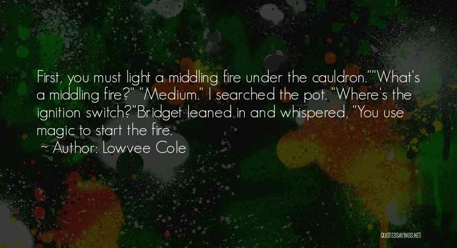Lowvee Cole Quotes: First, You Must Light A Middling Fire Under The Cauldron.what's A Middling Fire? Medium. I Searched The Pot. Where's The