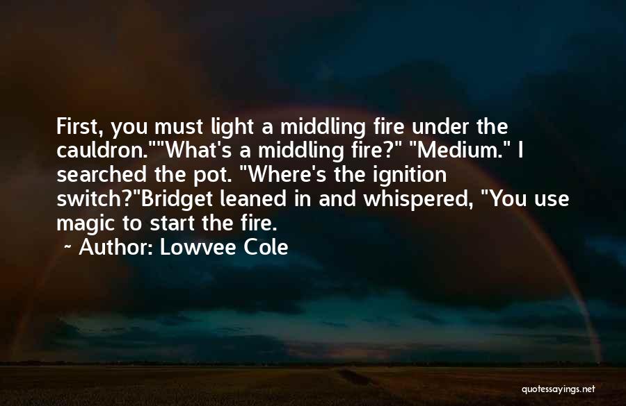 Lowvee Cole Quotes: First, You Must Light A Middling Fire Under The Cauldron.what's A Middling Fire? Medium. I Searched The Pot. Where's The