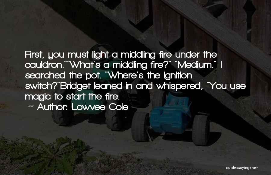 Lowvee Cole Quotes: First, You Must Light A Middling Fire Under The Cauldron.what's A Middling Fire? Medium. I Searched The Pot. Where's The