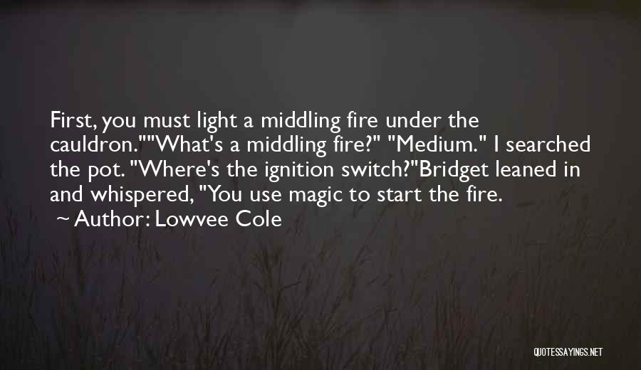 Lowvee Cole Quotes: First, You Must Light A Middling Fire Under The Cauldron.what's A Middling Fire? Medium. I Searched The Pot. Where's The