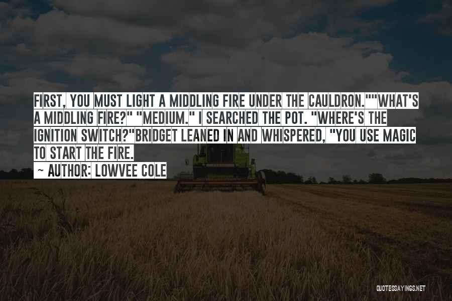 Lowvee Cole Quotes: First, You Must Light A Middling Fire Under The Cauldron.what's A Middling Fire? Medium. I Searched The Pot. Where's The