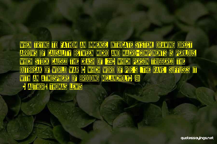Thomas Lewis Quotes: When Trying To Fathom An Immense, Intricate System, Drawing Direct Arrows Of Causality Between Micro And Macro-components Is Perilous. Which