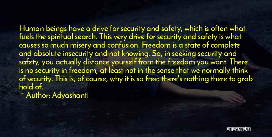 Adyashanti Quotes: Human Beings Have A Drive For Security And Safety, Which Is Often What Fuels The Spiritual Search. This Very Drive