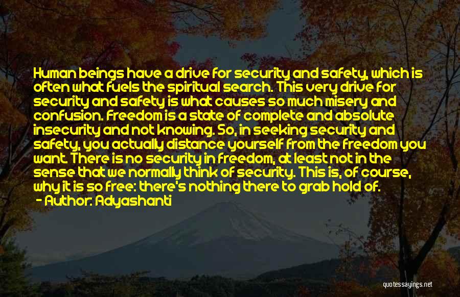 Adyashanti Quotes: Human Beings Have A Drive For Security And Safety, Which Is Often What Fuels The Spiritual Search. This Very Drive