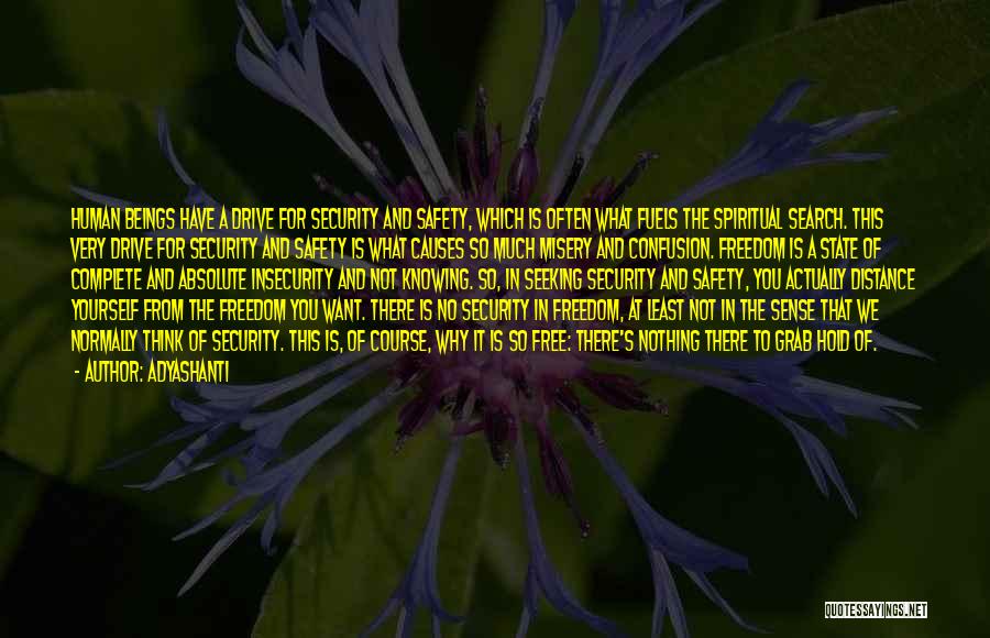 Adyashanti Quotes: Human Beings Have A Drive For Security And Safety, Which Is Often What Fuels The Spiritual Search. This Very Drive