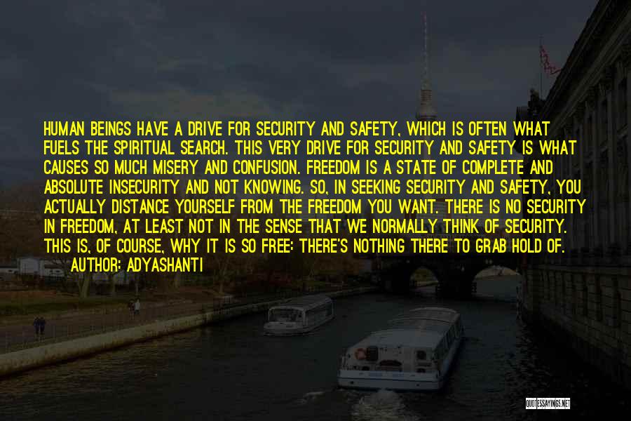 Adyashanti Quotes: Human Beings Have A Drive For Security And Safety, Which Is Often What Fuels The Spiritual Search. This Very Drive