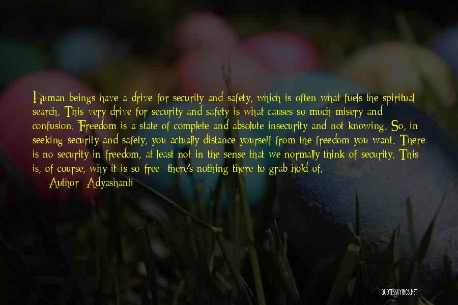 Adyashanti Quotes: Human Beings Have A Drive For Security And Safety, Which Is Often What Fuels The Spiritual Search. This Very Drive