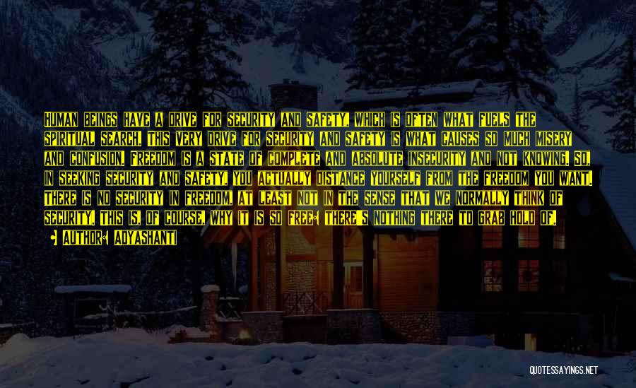 Adyashanti Quotes: Human Beings Have A Drive For Security And Safety, Which Is Often What Fuels The Spiritual Search. This Very Drive