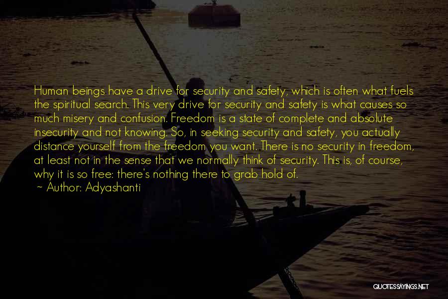 Adyashanti Quotes: Human Beings Have A Drive For Security And Safety, Which Is Often What Fuels The Spiritual Search. This Very Drive
