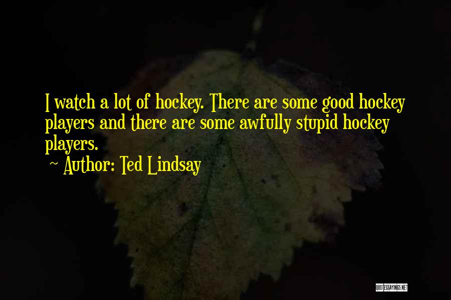 Ted Lindsay Quotes: I Watch A Lot Of Hockey. There Are Some Good Hockey Players And There Are Some Awfully Stupid Hockey Players.