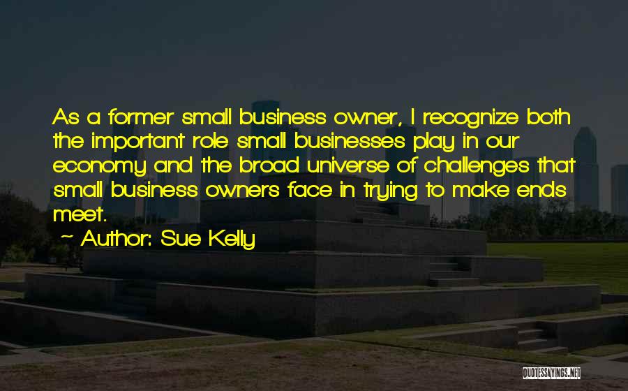 Sue Kelly Quotes: As A Former Small Business Owner, I Recognize Both The Important Role Small Businesses Play In Our Economy And The