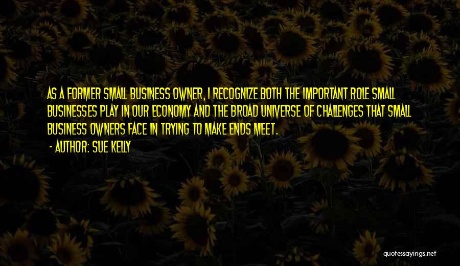 Sue Kelly Quotes: As A Former Small Business Owner, I Recognize Both The Important Role Small Businesses Play In Our Economy And The