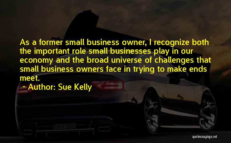 Sue Kelly Quotes: As A Former Small Business Owner, I Recognize Both The Important Role Small Businesses Play In Our Economy And The