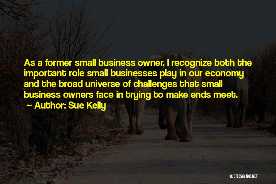 Sue Kelly Quotes: As A Former Small Business Owner, I Recognize Both The Important Role Small Businesses Play In Our Economy And The