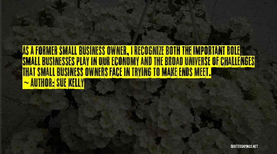 Sue Kelly Quotes: As A Former Small Business Owner, I Recognize Both The Important Role Small Businesses Play In Our Economy And The