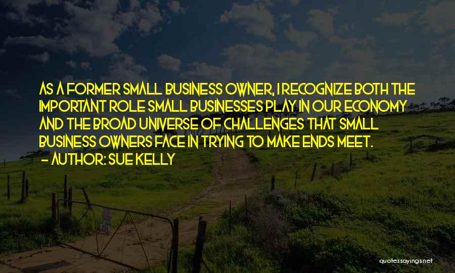 Sue Kelly Quotes: As A Former Small Business Owner, I Recognize Both The Important Role Small Businesses Play In Our Economy And The