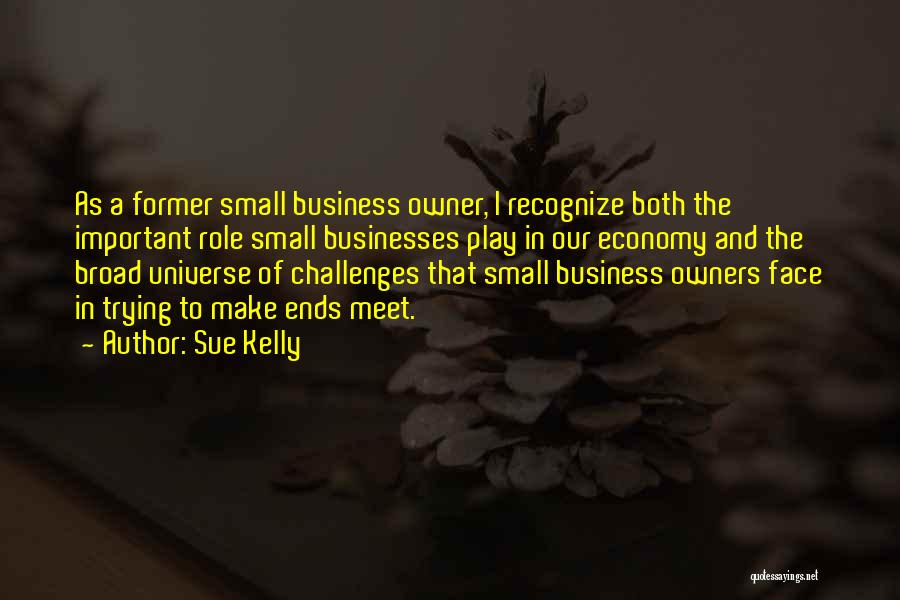 Sue Kelly Quotes: As A Former Small Business Owner, I Recognize Both The Important Role Small Businesses Play In Our Economy And The