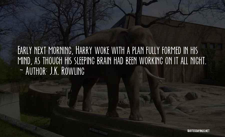 J.K. Rowling Quotes: Early Next Morning, Harry Woke With A Plan Fully Formed In His Mind, As Though His Sleeping Brain Had Been