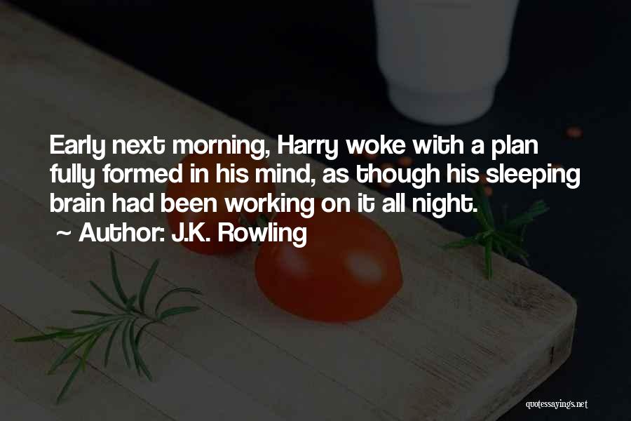 J.K. Rowling Quotes: Early Next Morning, Harry Woke With A Plan Fully Formed In His Mind, As Though His Sleeping Brain Had Been