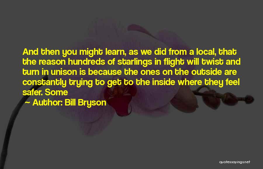 Bill Bryson Quotes: And Then You Might Learn, As We Did From A Local, That The Reason Hundreds Of Starlings In Flight Will