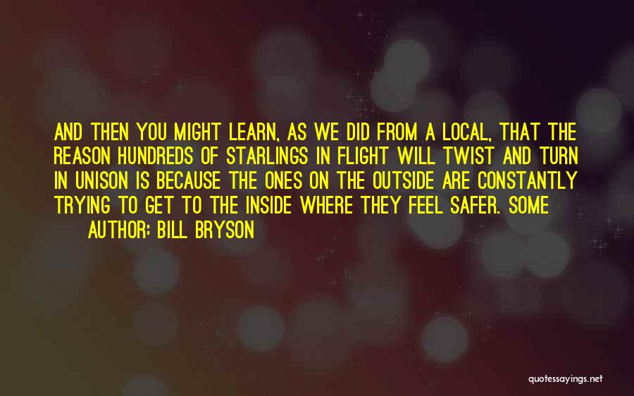 Bill Bryson Quotes: And Then You Might Learn, As We Did From A Local, That The Reason Hundreds Of Starlings In Flight Will
