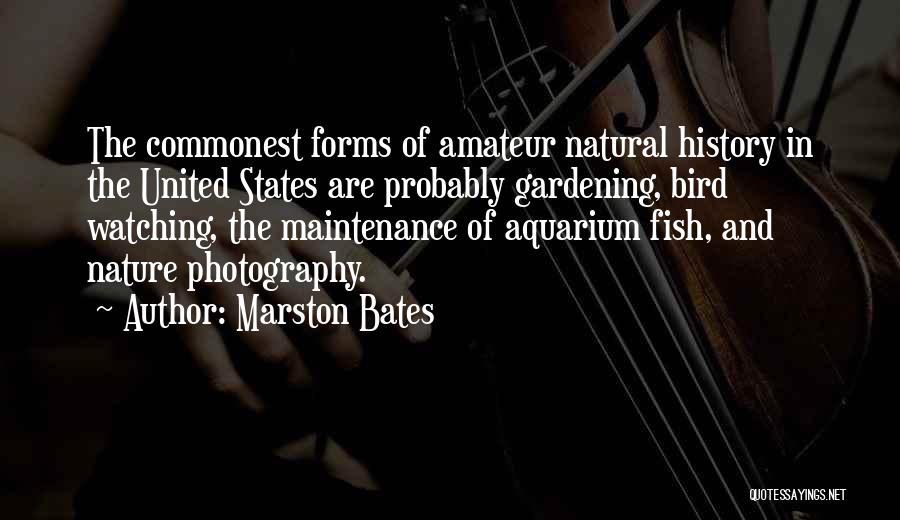 Marston Bates Quotes: The Commonest Forms Of Amateur Natural History In The United States Are Probably Gardening, Bird Watching, The Maintenance Of Aquarium